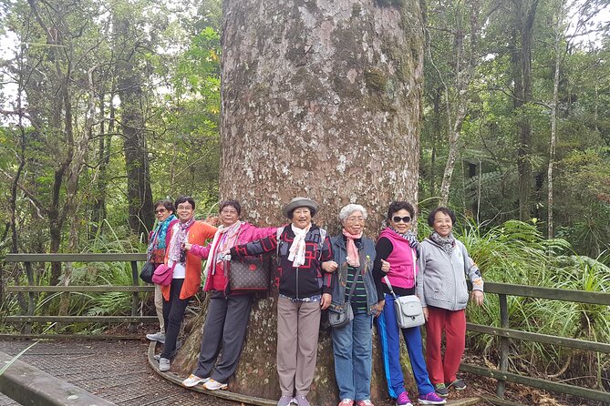 Bay of Islands Shore Excursion: Puketi Rainforest Guided Walk - Common questions
