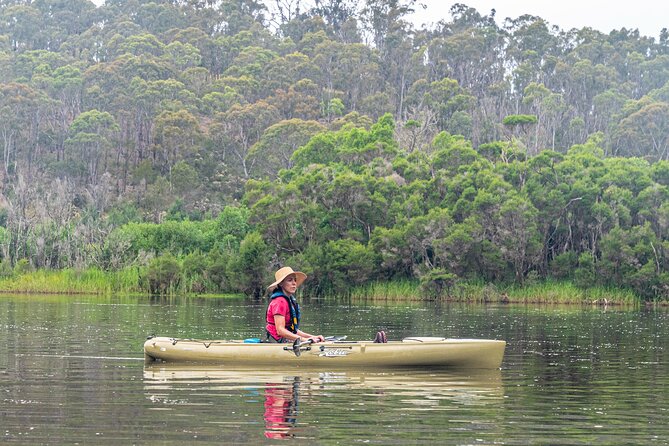 Bega River Kayaking Tour - Photo Opportunities