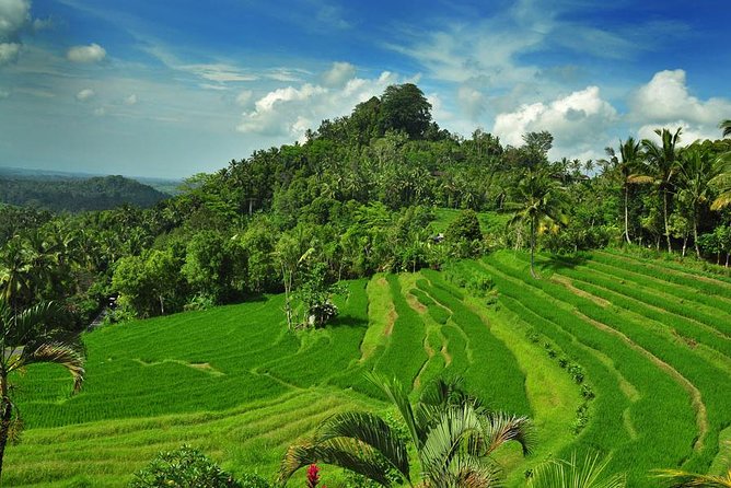 Besakih Temple and Tukad Cepung Private Guided Trip With Lunch  - Ubud - Sum Up