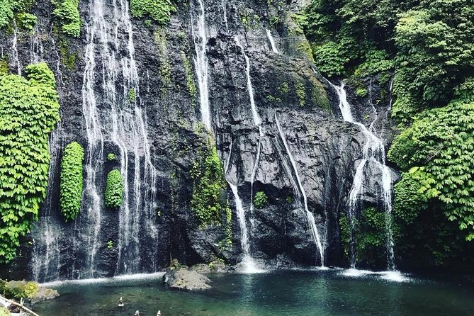Best Bali Waterfall Private Tour - Pricing and Discounts
