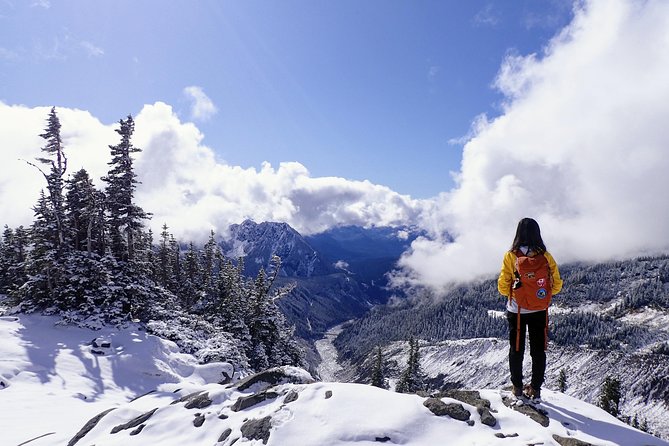 Best of Mount Rainier National Park From Seattle: All-Inclusive Small-Group Tour - Sum Up