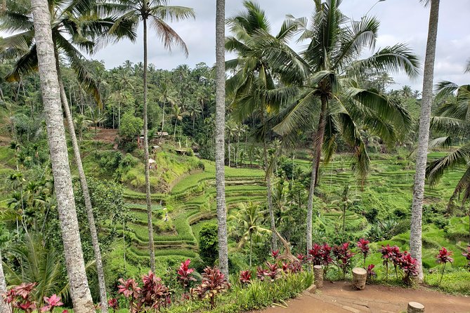 Best of Ubud With Jungle Swing - Sum Up