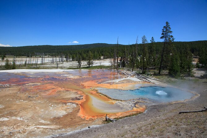 Best of Yellowstone Guided Tour From Bozeman - Private Tour - Additional Information