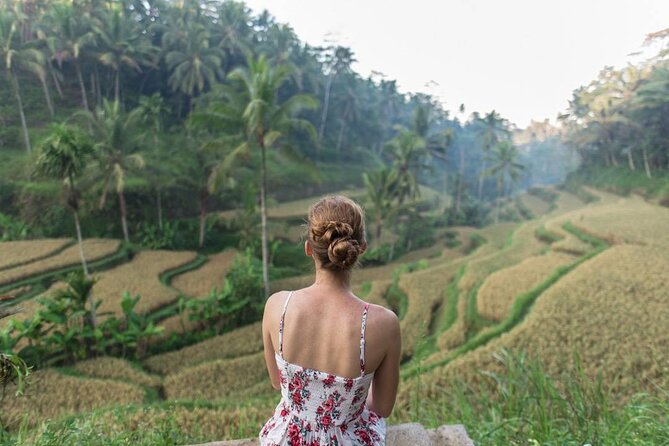 Best Private Day Tours of Ubud - Customer Reviews and Testimonials