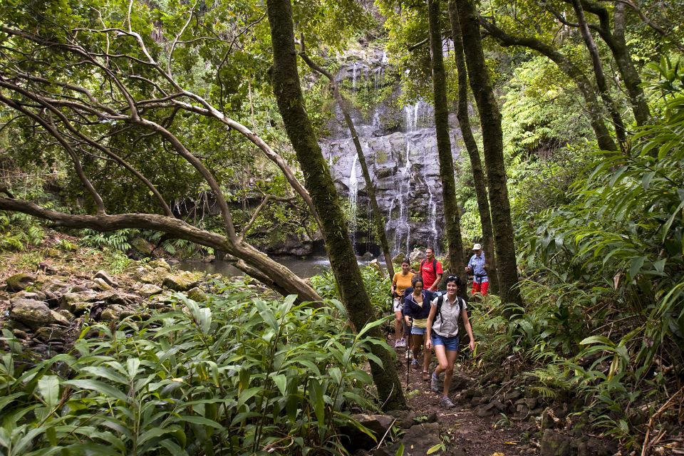 Big Island: Full Day Adventure Tour of the Kohala Waterfalls - Sum Up