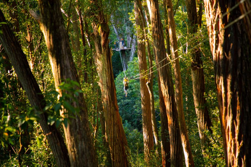 Big Island: Full-Day Kohala Zipline and Waterfall Adventure - Sum Up