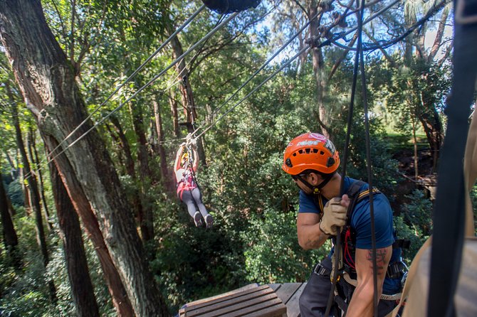 Big Island Kohala Canopy Zipline Adventure - Sum Up
