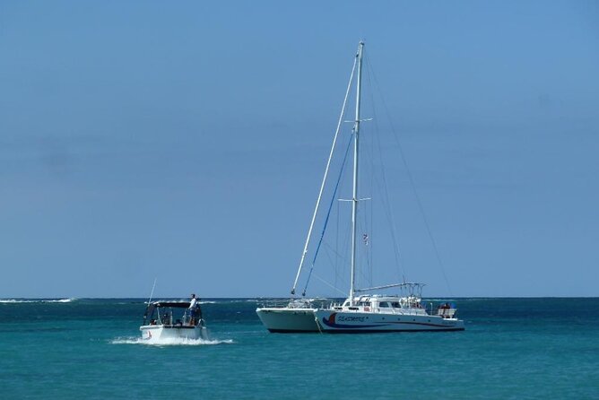 Big Island Kohala Coast Morning Whale Watch Cruise  - Big Island of Hawaii - Sum Up