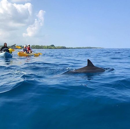 Big Island Small-Group Outrigger Canoe Excursion  - Big Island of Hawaii - Directions