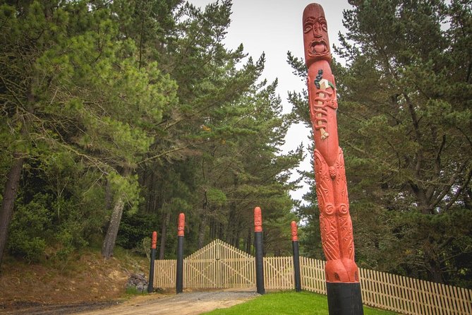 Bike Hire at the Waitangi Mountain Bike Park - Safety Tips for Mountain Biking