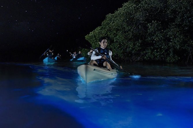Bioluminescent Kayak Tour. Fin Expeditions Is Cocoa Beaches Top Rated Kayak Tour - Directions