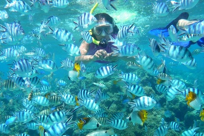 Bloo Lagoon Snorkeling East Bali Includes Transportation & Lunch - Transportation Inclusion