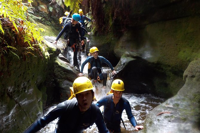 Blue Mountains and Empress Canyon Abseiling Adventure Tour - Dietary Needs Accommodated