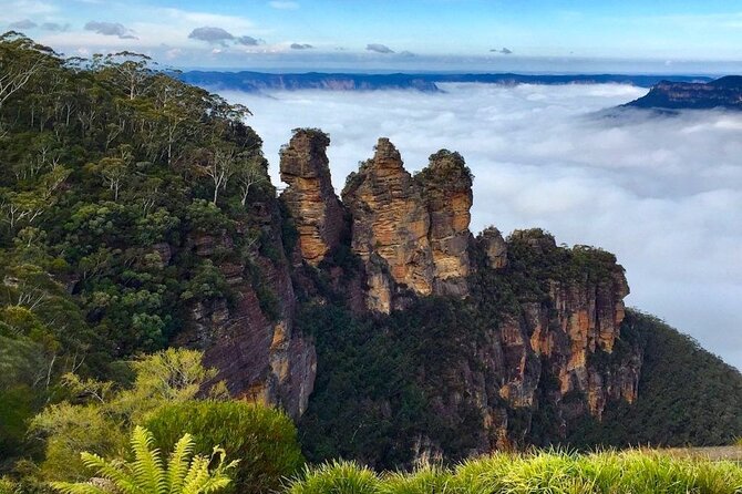 Blue Mountains Private Hiking Tour From Sydney - Contact and Support