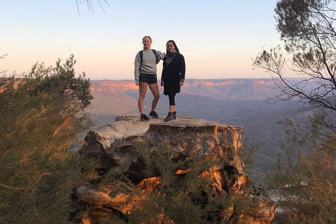 Blue Mountains Sunset Tour With Wildlife From Sydney - Customer Reviews and Feedback Analysis