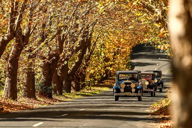 Blue Mountains Vintage Cadillac Tour With Local Guide - Reviews Summary