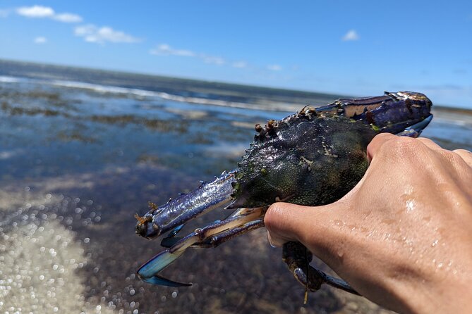 Blue Swimmer Crab Catch and Dine (At the Restaurant) - Common questions