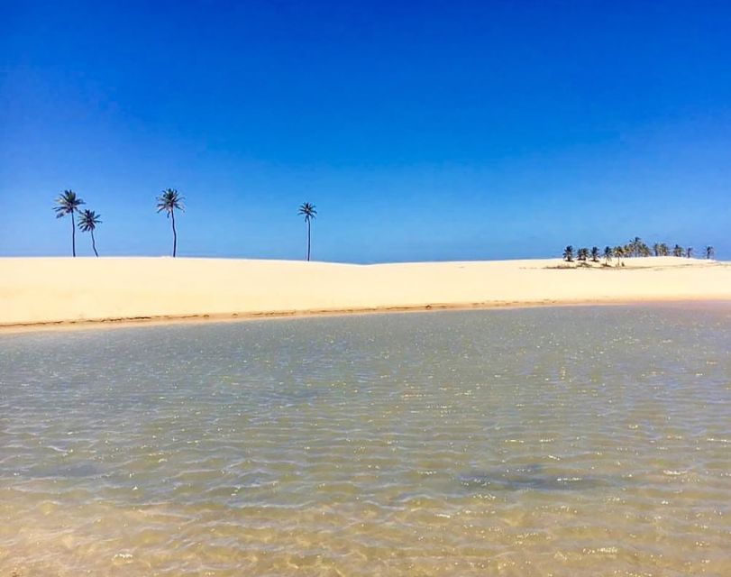 Boat Ride: São Francisco River, the Largest in Brazil - Tips for Enjoying the Boat Ride