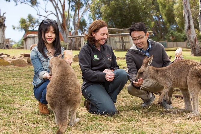 Bonorong Wildlife Park and Richmond Afternoon Tour From Hobart - Sum Up