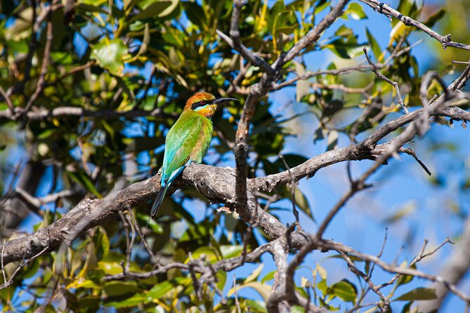 Brisbane: Wildlife and Wilderness Private Coastal Tour - Sum Up