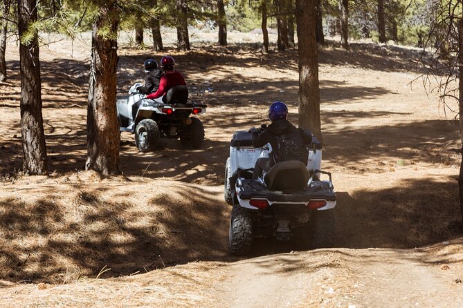 Bryce Canyon Small-Group Guided ATV Ride  - Bryce Canyon National Park - Common questions