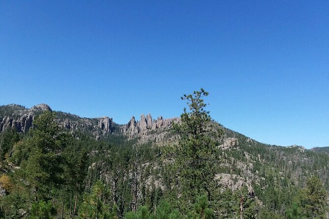 Bus Tour of Mount Rushmore and the Black Hills - Cancellation Policy