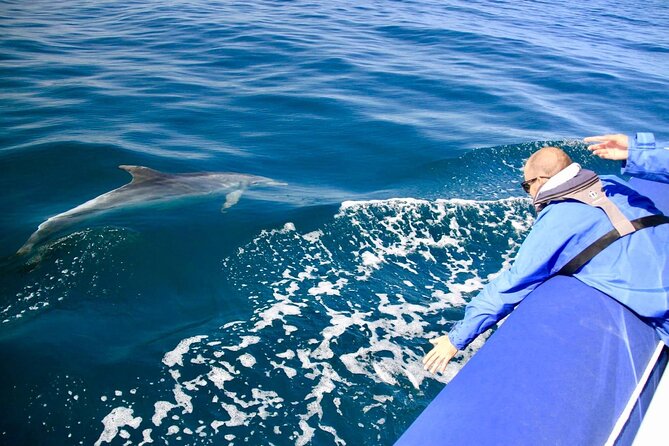 Byron Bay Dolphin Tour - Ocean Safari - Booking and Cancellation Policy