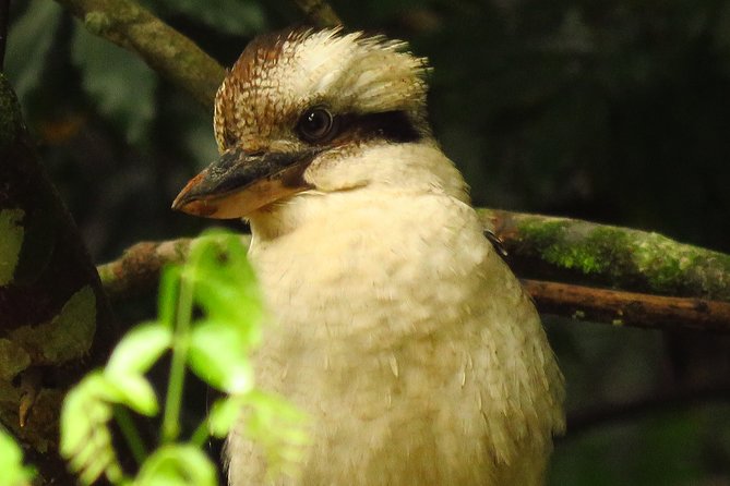 Byron Bay Wildlife Safari - Customer Support