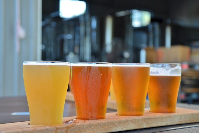 Cairns Brewery Tours - Traveler Engagement Opportunities