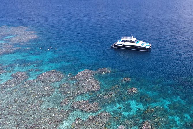 Calypso Outer Great Barrier Reef Cruise From Port Douglas - Common questions