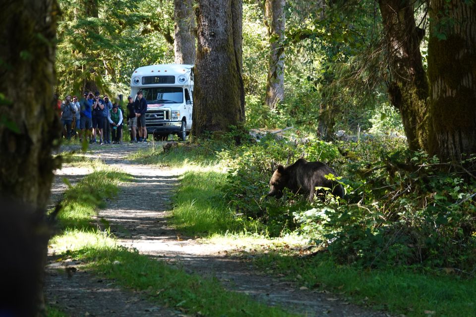 Campbell River: Bute Inlet Grizzly-Watching Tour & Boat Ride - Key Points