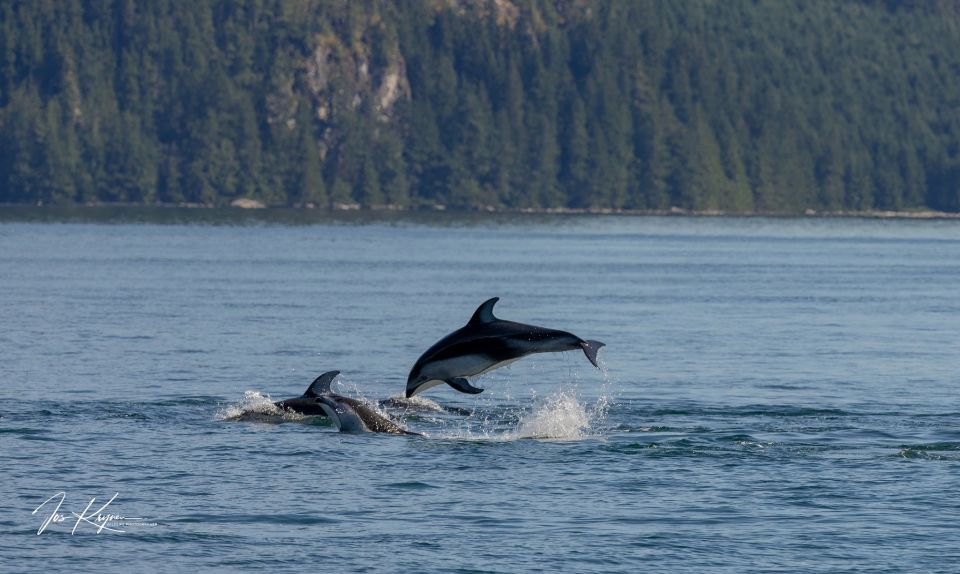 Campbell River: Wildlife Tour by Covered Boat - Sum Up