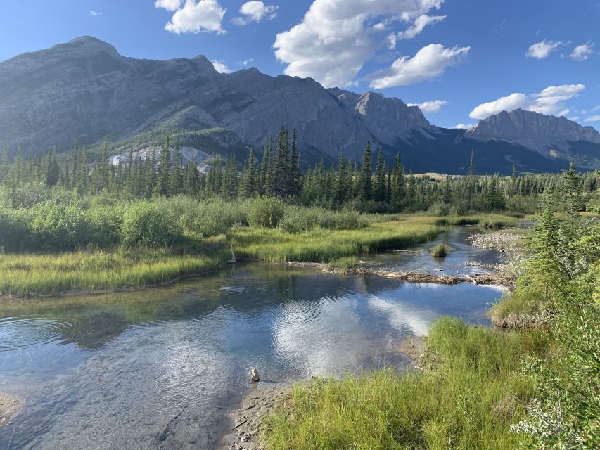 Canmore: 4-Hour Banff Park Safari Drive & Nature Walk - Customer Reviews