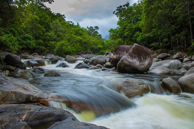 Cape Tribulation Day Tour - Assistance and Additional Resources