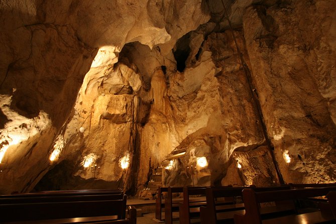 Capricorn Caves Cathedral Cave Tour - Local Wildlife