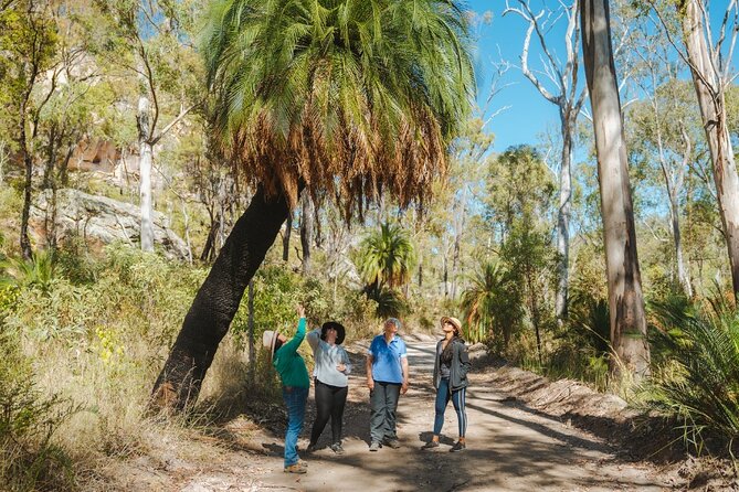 Carnarvon Range Day Tour With an Ecologist Guide  - Queensland - Aboriginal Art Discovery