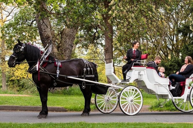 Central Park and NYC Horse Carriage Ride OFFICIAL ( ELITE Private) Since 1970 - Pricing and Booking Details