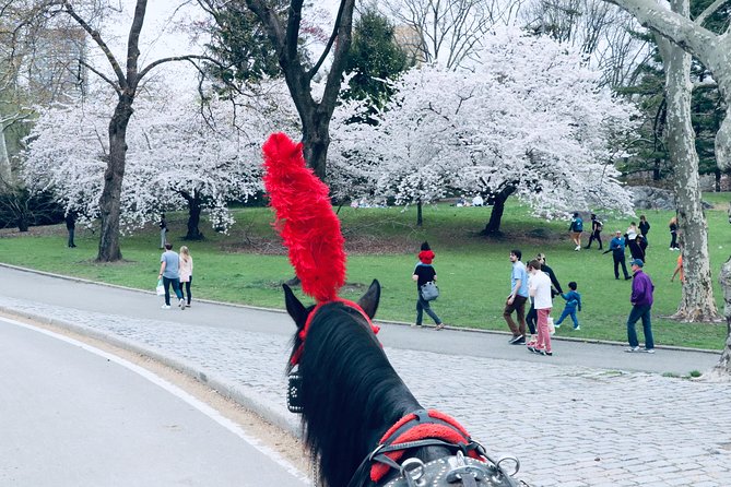 Central Park Horse Carriage Ride Short Loop (Up to 4 Adults)) - Wheelchair and Stroller Accessibility