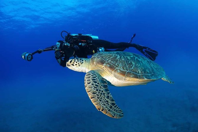Certified Diver:2-Tank Deep Wreck and Shallow Reef Dives off Oahu - Booking Information and Transportation