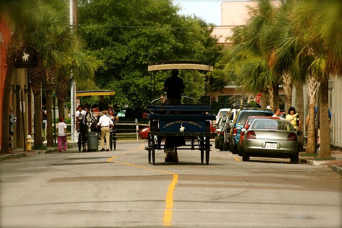 Charleston Horse & Carriage Historic Sightseeing Tour - Sum Up