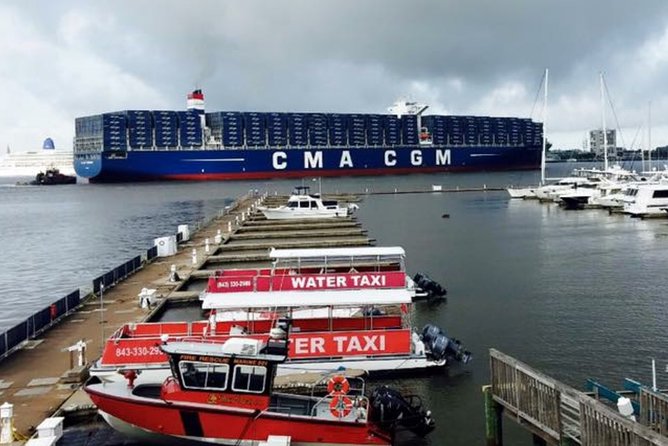 Charleston Water Taxi Cruise With Dolphin Sighting - Reviews and Feedback Summary