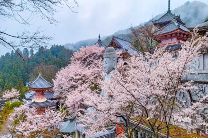 Cherry Blossom Buddha and Mt.Yoshino With Strawberry Picking Tour - Directions