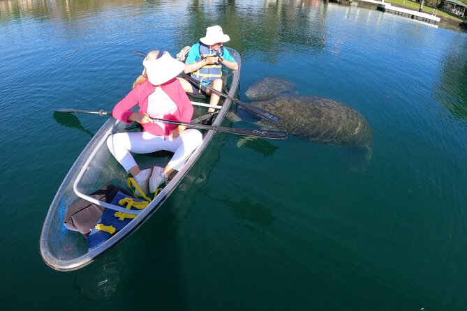 Clear Kayak Manatee Ecotour of Crystal River - Directions