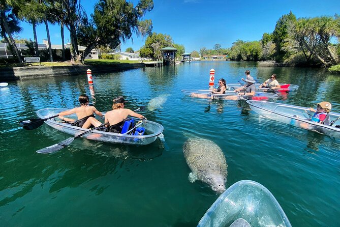 Clear Kayak Tour of Crystal River - Directions