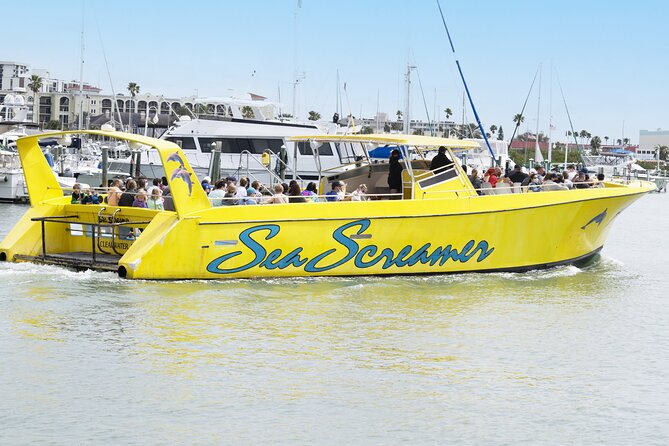 Clearwater Beach Dolphin Speedboat Adventure With Lunch & Transport From Orlando - Common questions