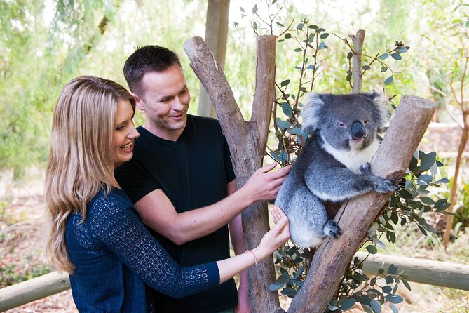 Cleland Wildlife Park Experience - From Adelaide Including Mt Lofty Summit - Sum Up