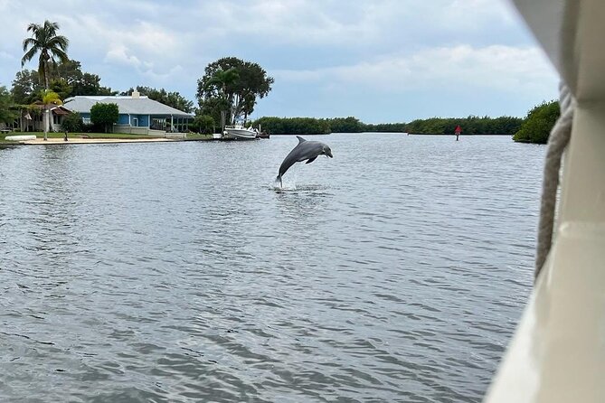 Cocoa Beach Dolphin Tours on the Banana River - Booking Process Simplified