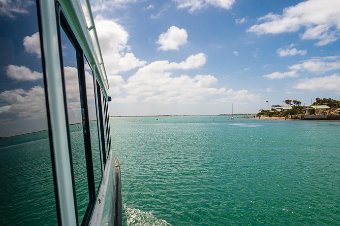 Coorong 6-Hour Adventure Cruise - Provider Information