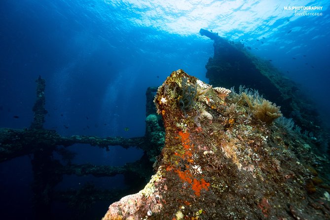Coral Garden and Liberty Shipwreck Beginner Scuba Diving Tour  - Tulamben - Additional Considerations