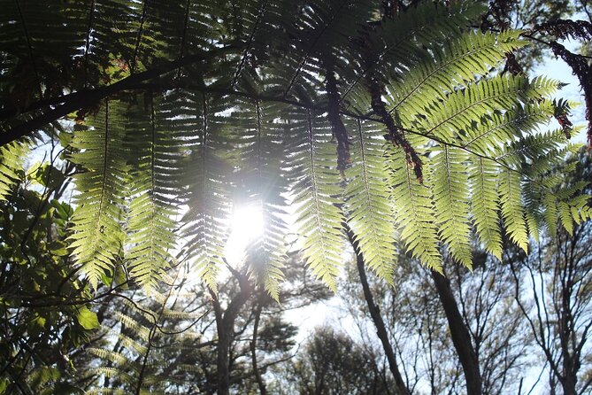 Coromandel Coastal Walkway: Full-Day Hike and Bike Tour - Directions